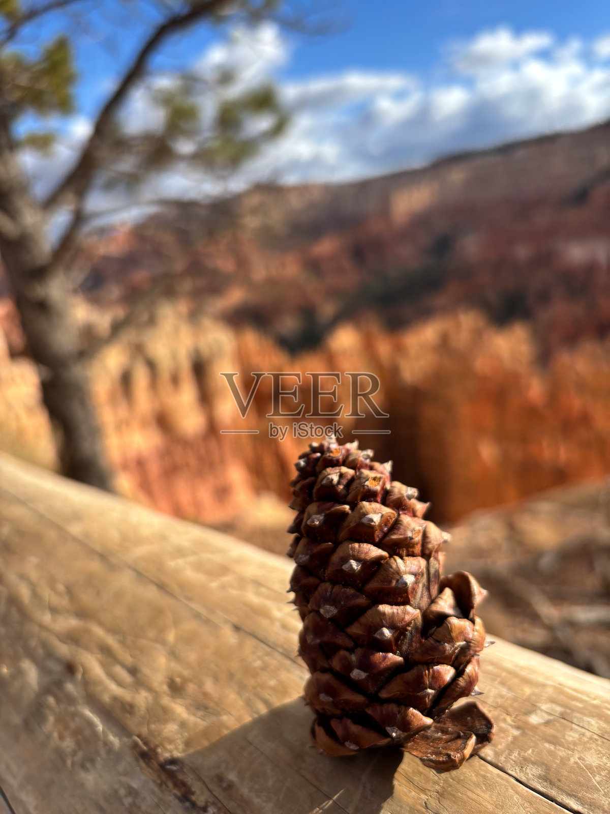 木栓上的松果，背景是犹他州布莱斯峡谷壮丽的模糊景观 - 捕捉宁静与美丽的自然摄影照片摄影图片