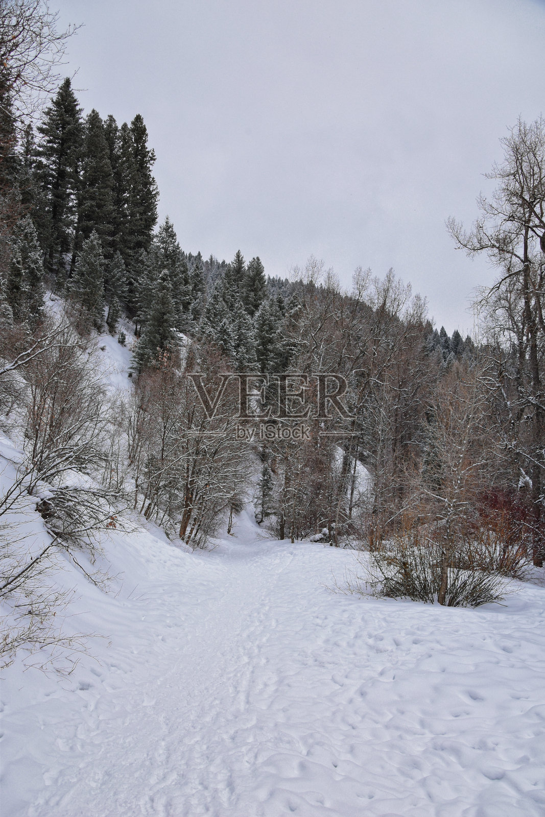 冬季风暴中的Tibble Fork Loop徒步旅行，雪景，Lone Peak Wilderness，Uinta Wasatch Cache国家森林，落基山脉，犹他州，美国。照片摄影图片