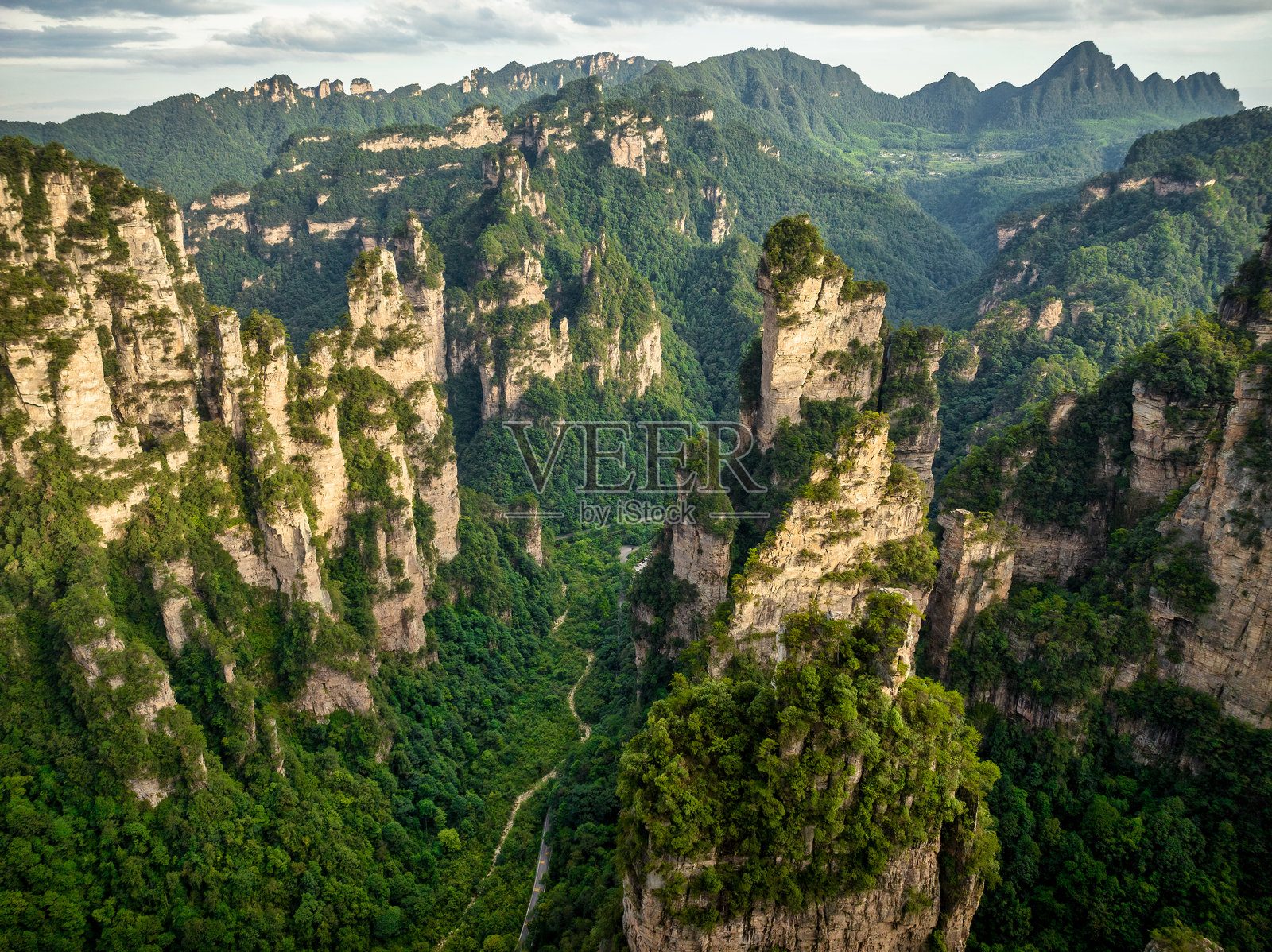 张家界国家森林公园的航拍全景，展示了从郁郁葱葱的景观中拔地而起的巨大砂岩柱，体现了地质奇观和宁静的荒野。照片摄影图片