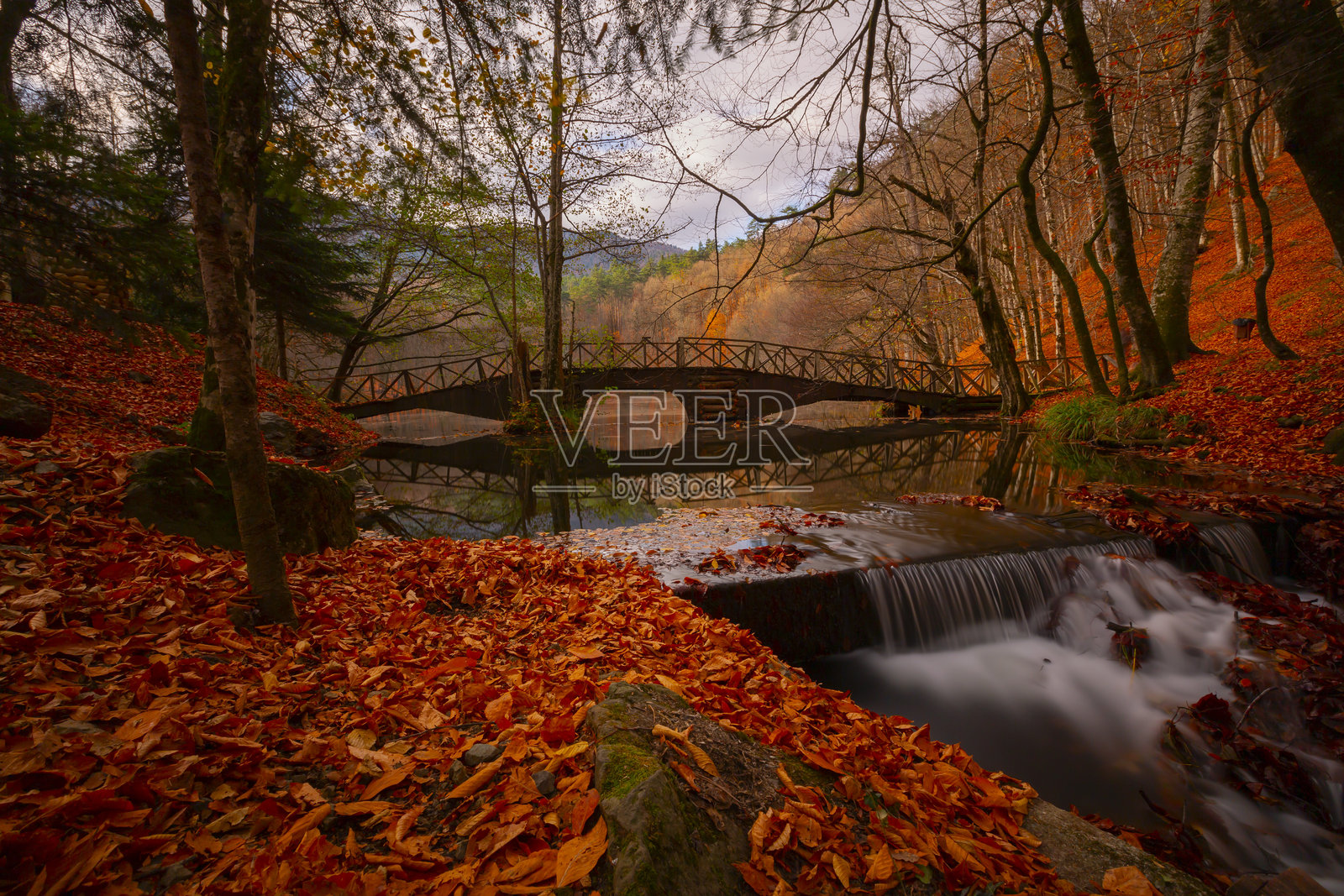位于博卢省境内的耶迪戈勒国家公园，以其自然美景而闻名，已成为自然爱好者和旅行者的最爱。照片摄影图片
