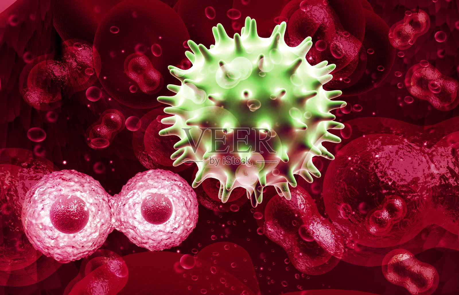 带有病毒的人类细胞照片摄影图片