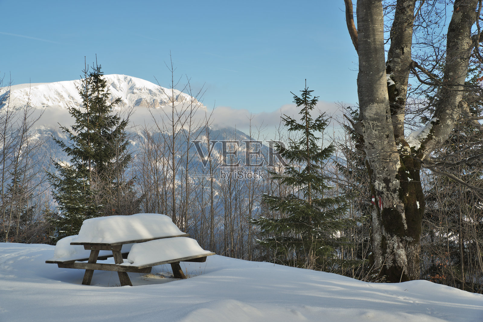 宁静的冬季森林景观，雪和霜覆盖的长椅。背景是奥地利施蒂利亚州的拉克斯山峰。照片摄影图片