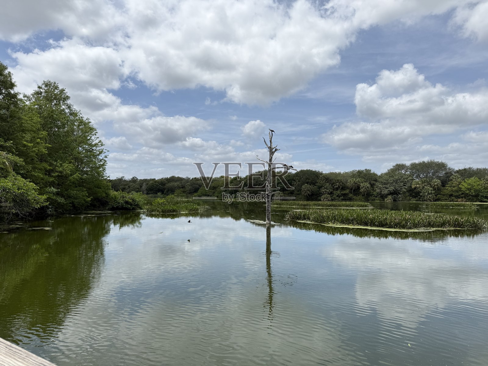 自然保护区照片摄影图片