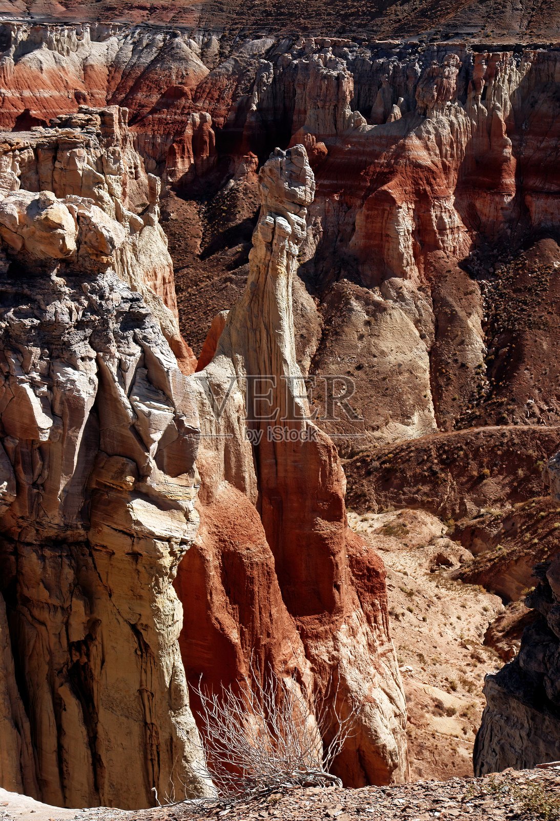 美国风景 亚利桑那州 煤矿峡谷 霍皮保留地 图巴城附近 仙人掌石柱与荒地 2008-10 DSC03380照片摄影图片