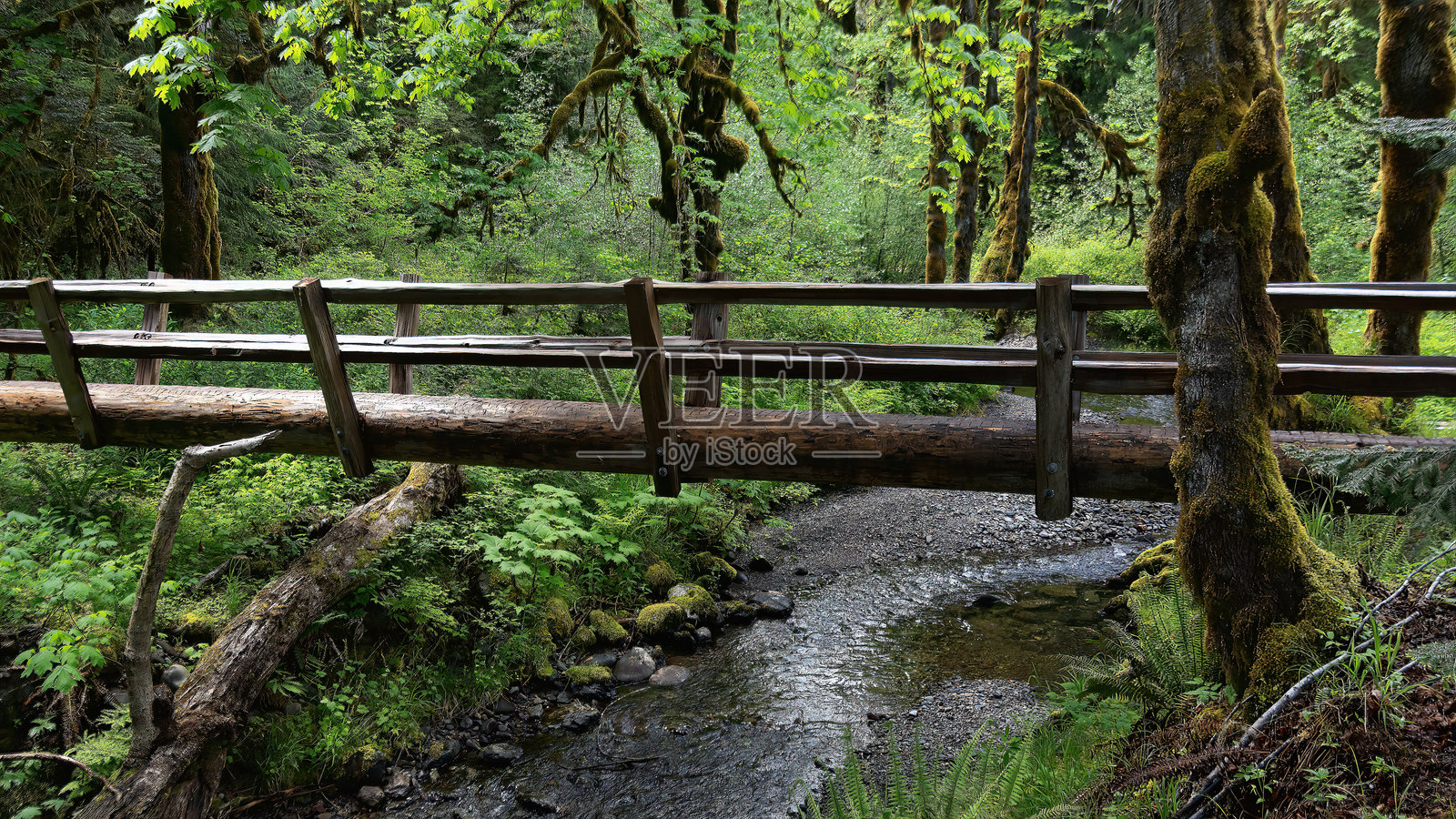 旧创新照片摄影图片