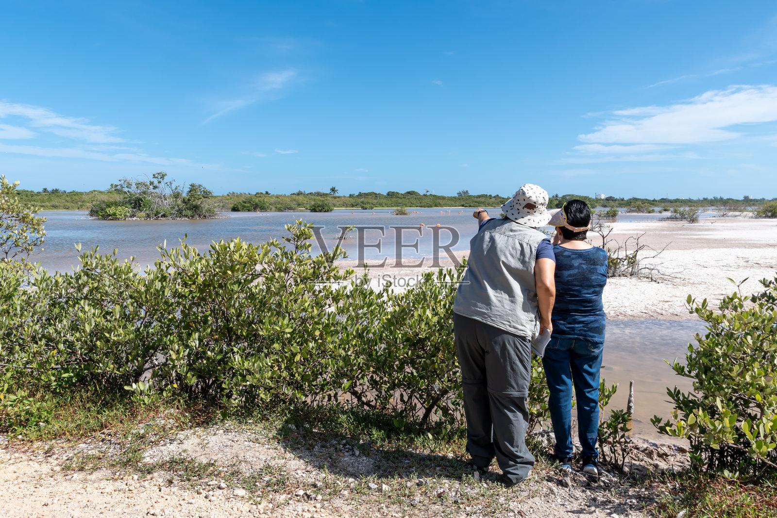 两位女性在墨西哥尤卡坦的湿地观察火烈鸟。照片摄影图片
