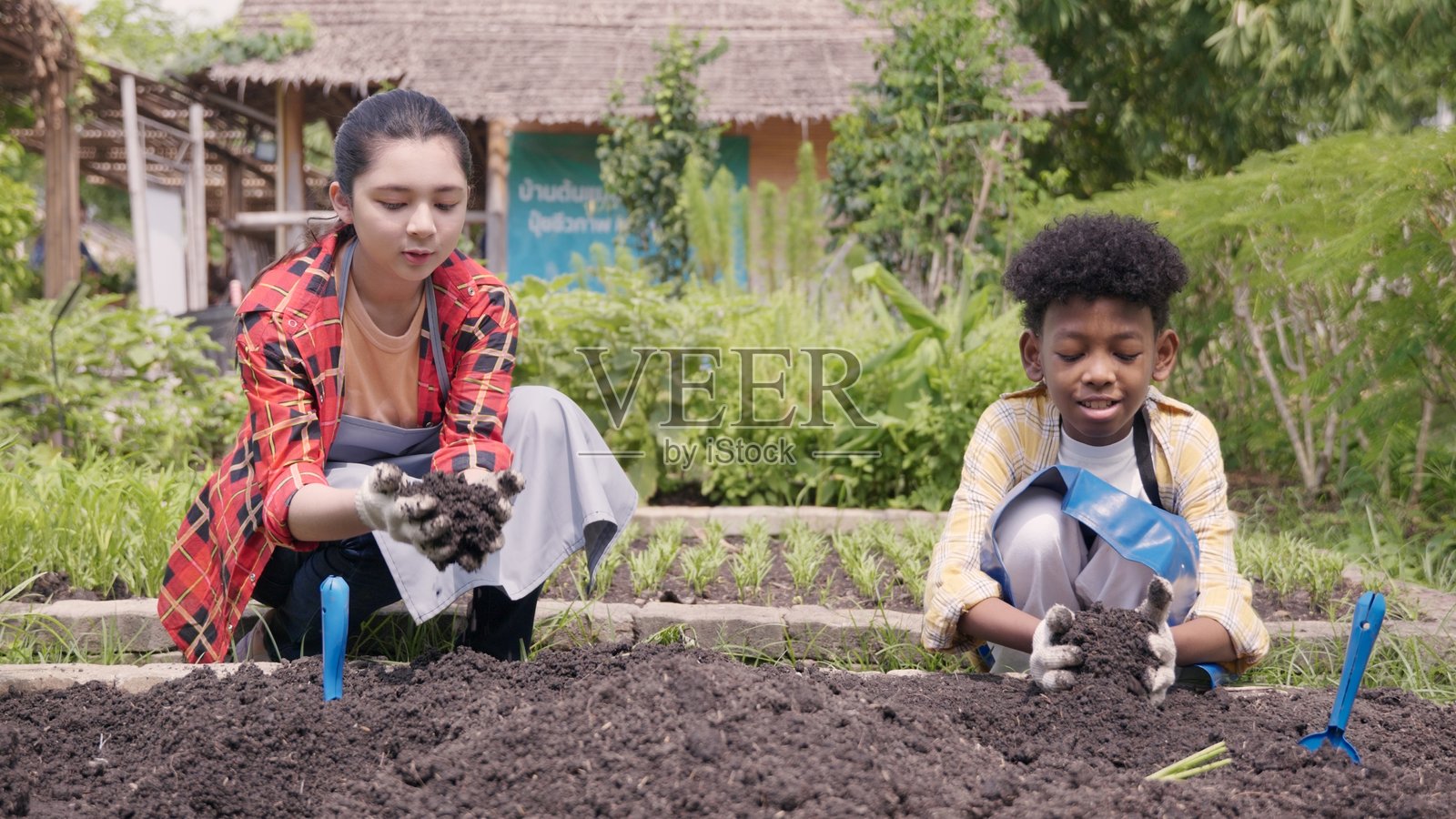 快乐的孩子们，男孩和女孩在多样化的学习环境中，在花园农场学习植物和蔬菜，他们手中拿着黑土。照片摄影图片