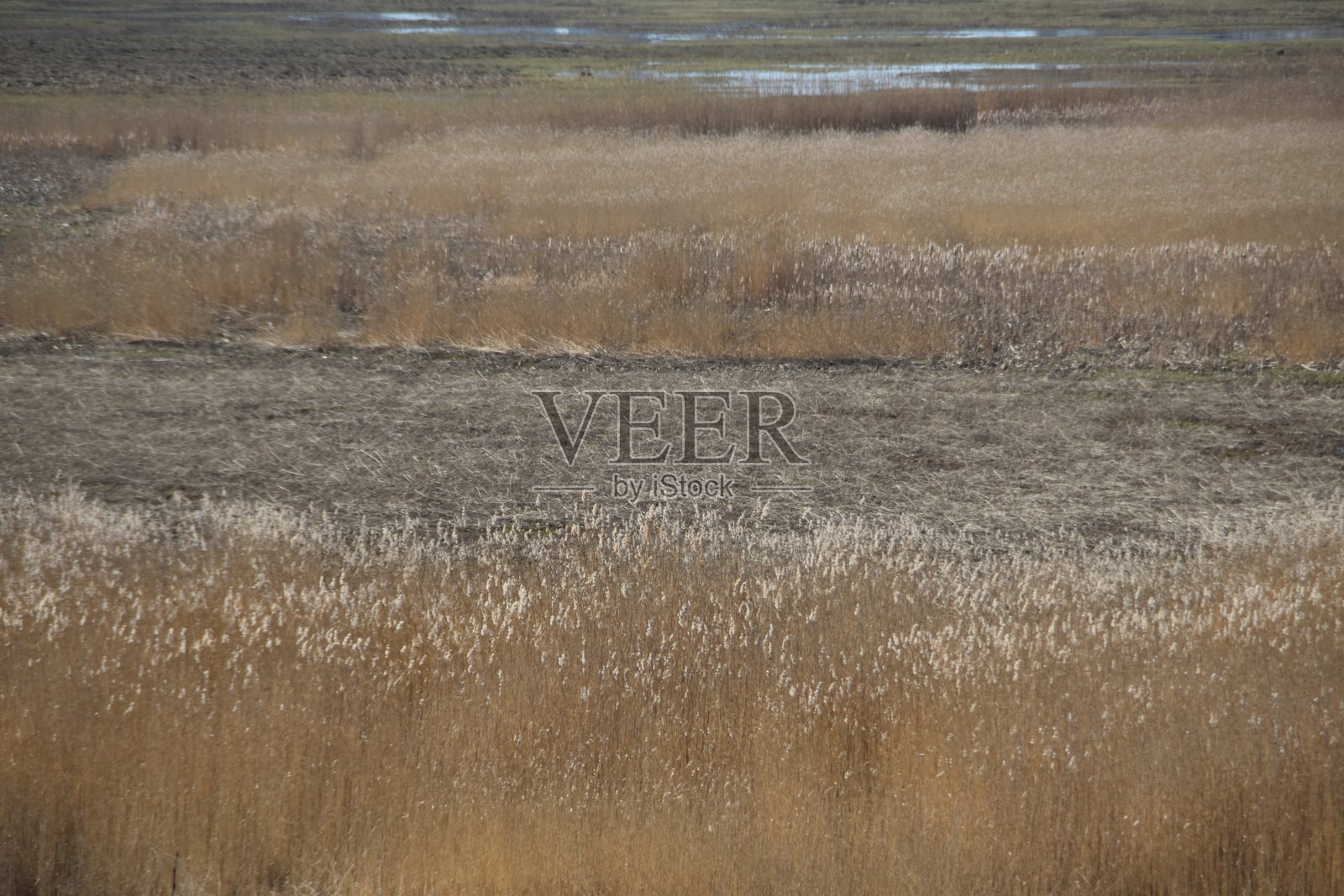 美丽的草原照片摄影图片