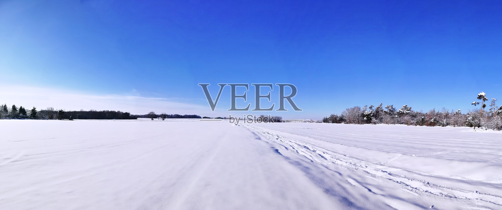 法国阿尔萨斯的冬季风景，雪覆盖的田野和晴朗的蓝天展现了自然的宁静之美与健康生活理念。照片摄影图片