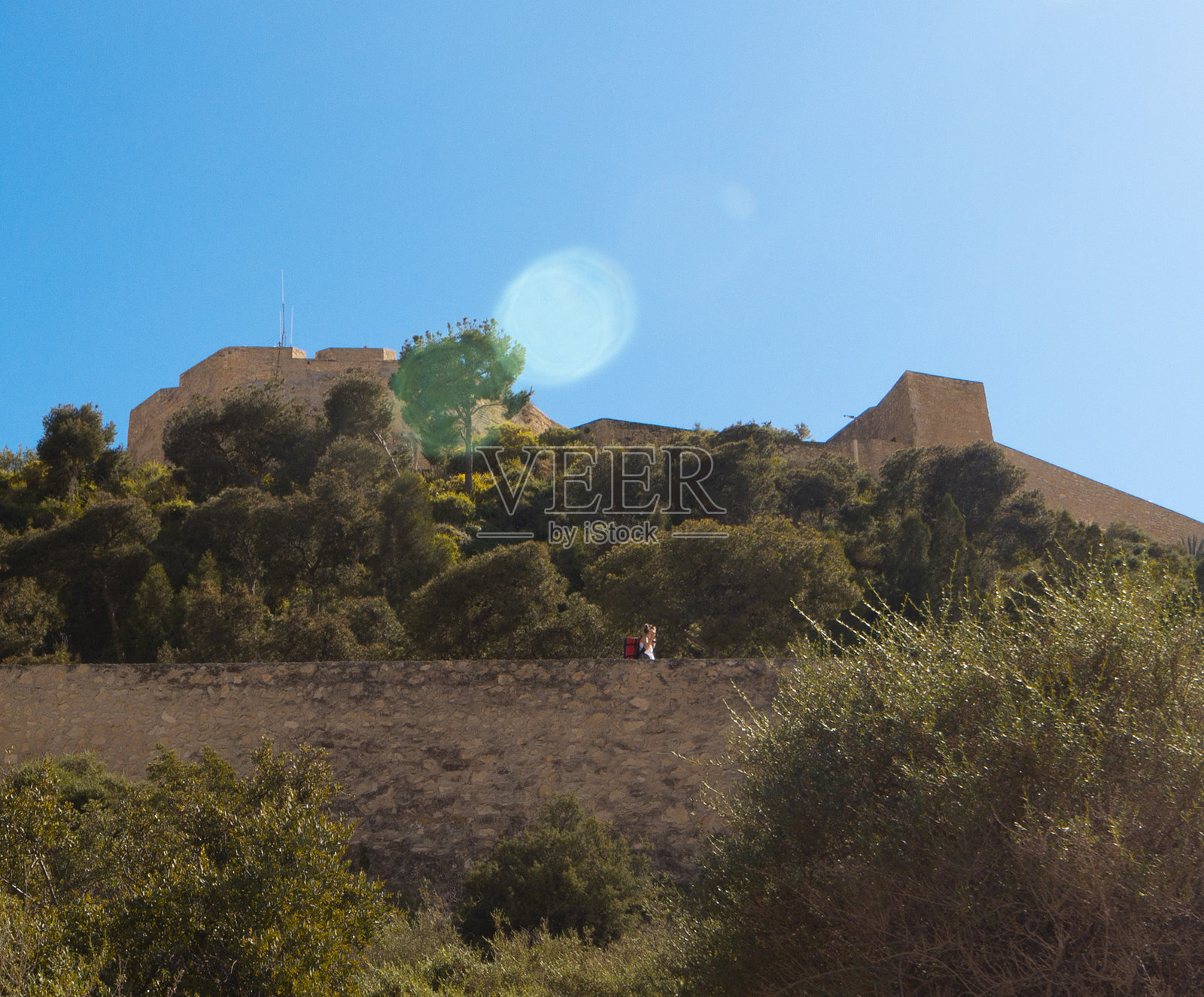 阿利坎特的圣巴巴拉堡垒。从远处的低处视角。前景有绿色灌木。阳光明媚的日子。照片摄影图片