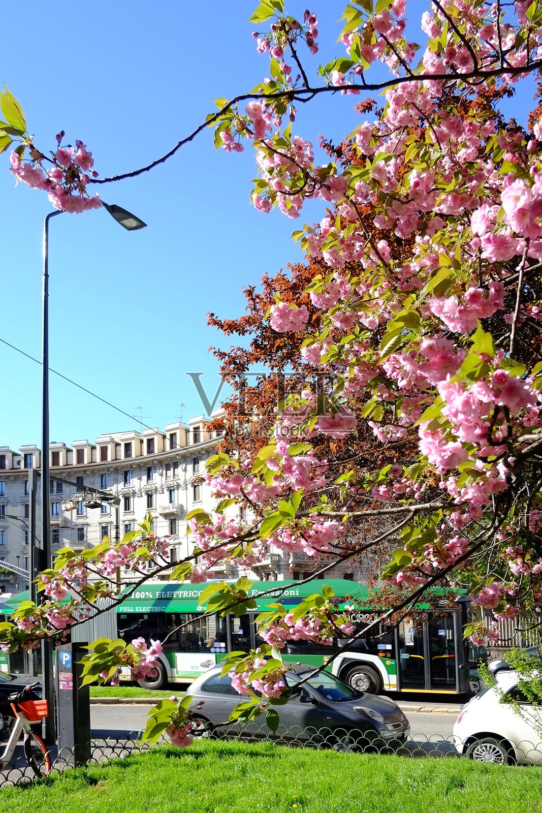 米兰 - 春天照片摄影图片