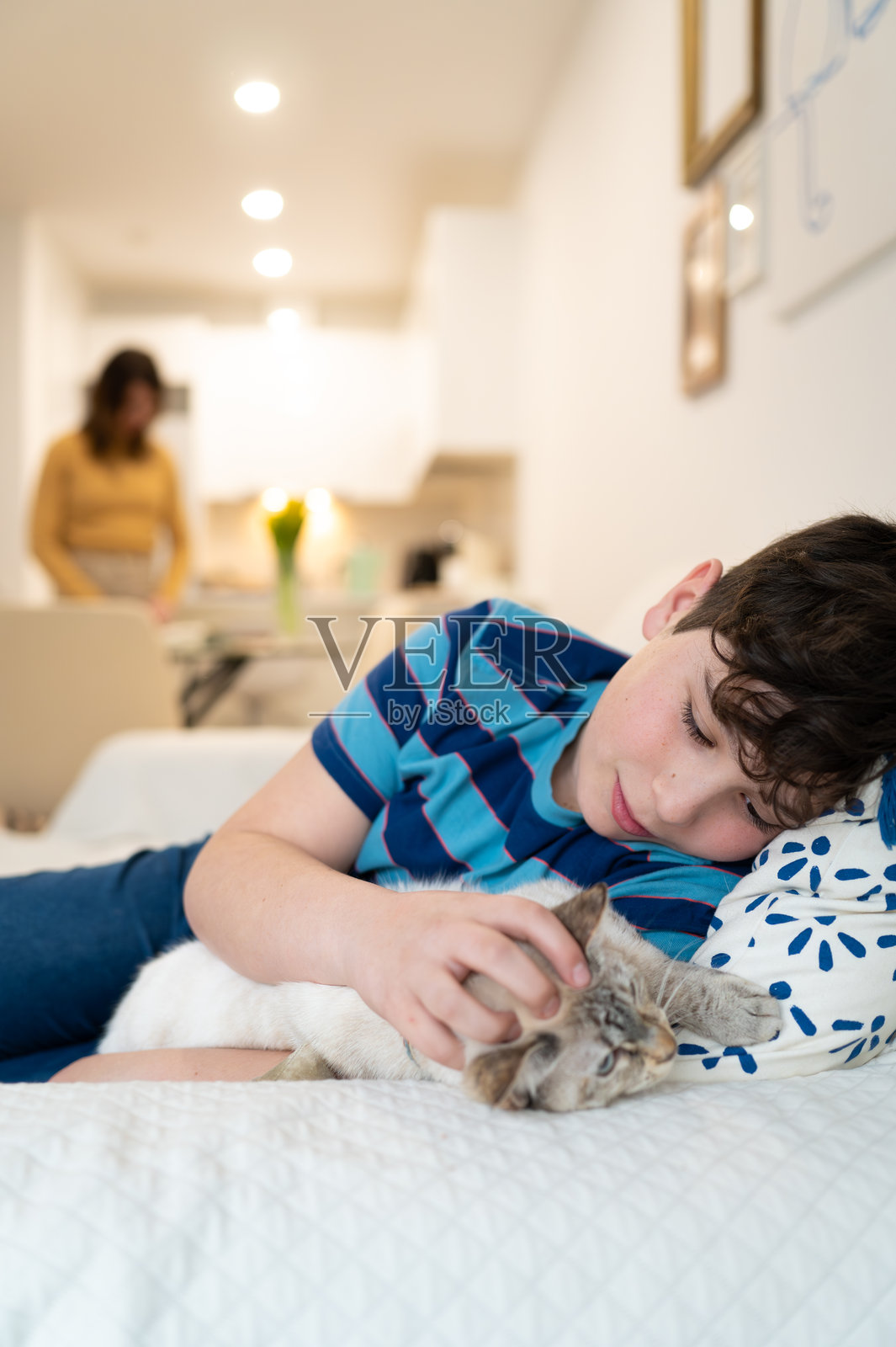 男孩在家放松，抱着小猫，母亲在背景中做饭。照片摄影图片