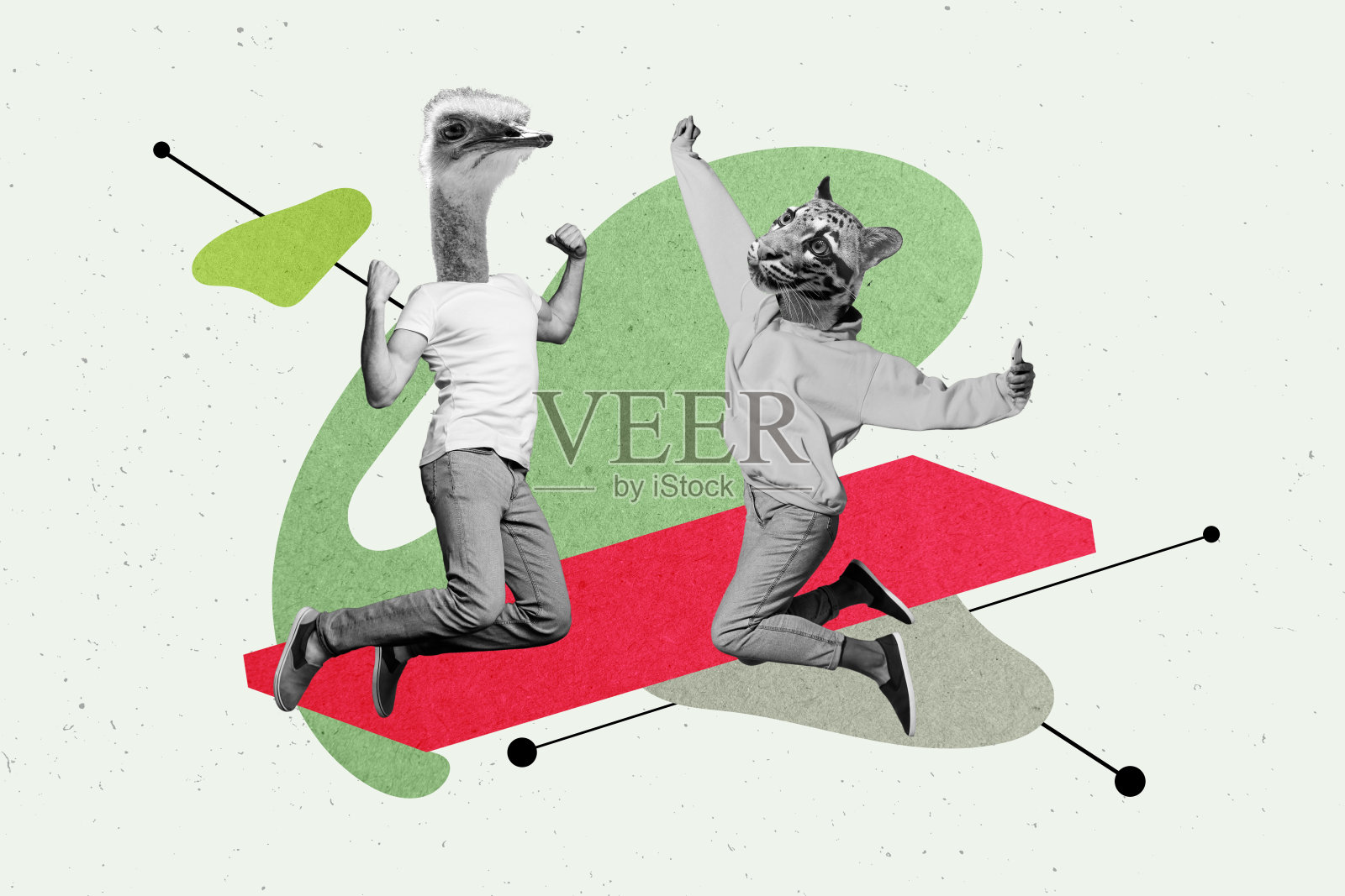 三维草图海报趋势拼贴图，两个女孩和一个男孩的身体，头部是鸵鸟和老虎的动物，快乐地一起跳跃，展现动物园野生动物的乐趣。照片摄影图片