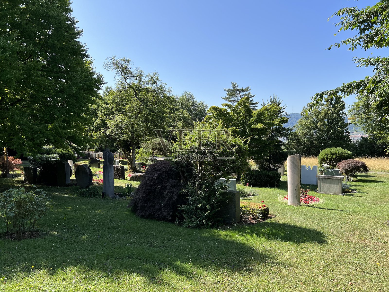 霍恩格贝格公墓（Hönggerberg Cemetery），瑞士苏黎世（Zürich）的霍恩格贝格公墓照片摄影图片