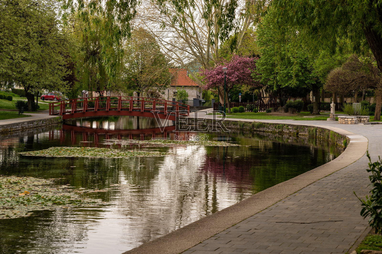 早晨的塔波尔卡公园，红色人行桥与盛开的春天树木相映成趣。照片摄影图片