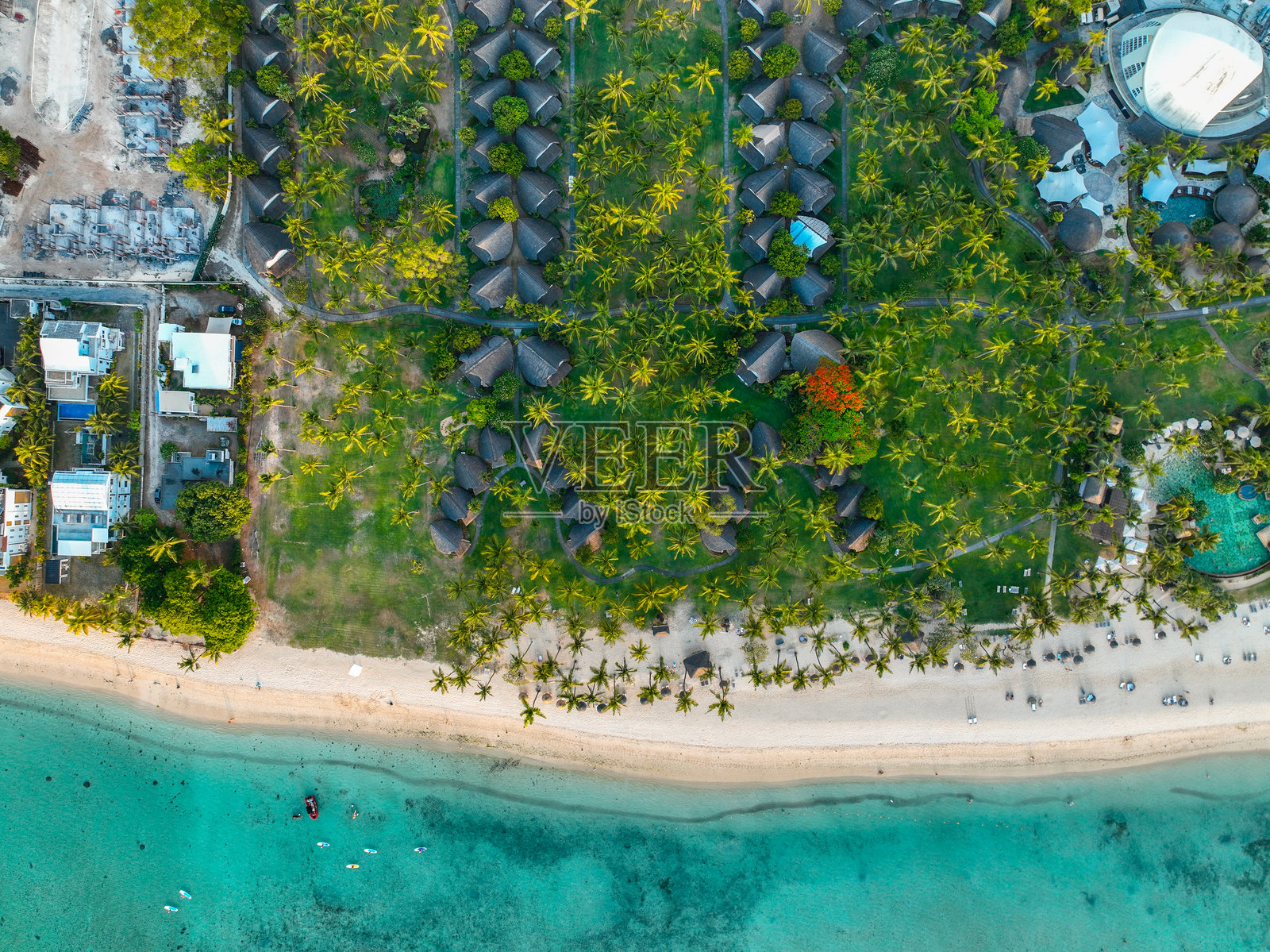 从上方俯瞰的棕榈树环绕的海滩度假村照片摄影图片