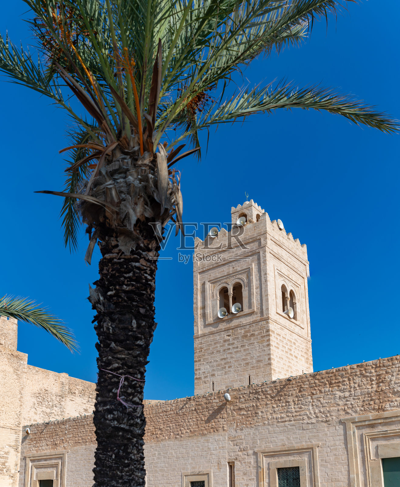 莫纳斯提尔大清真寺照片摄影图片