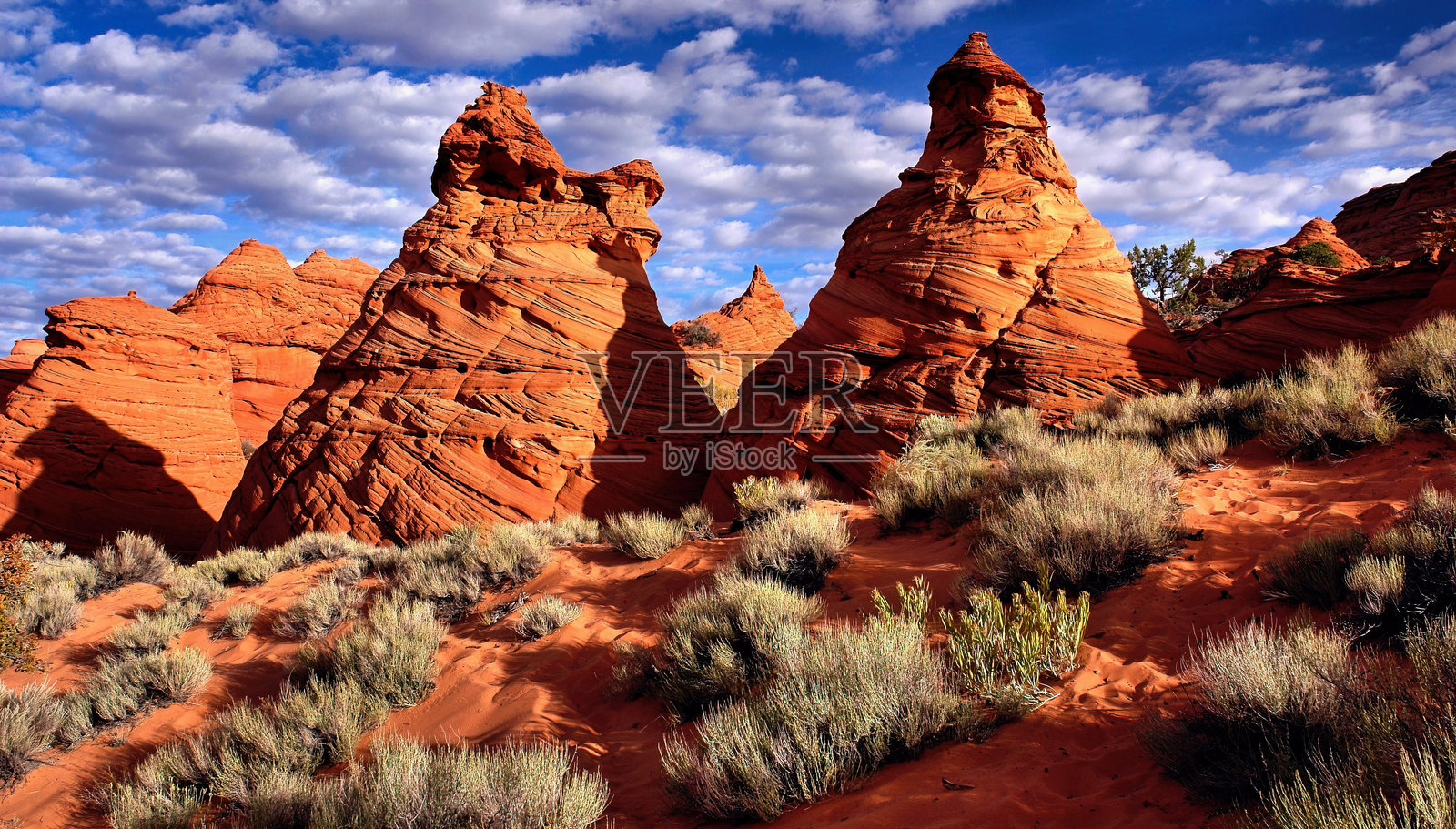 美国风景 亚利桑那州 狼獾岩南部爪洞 维米利恩悬崖国家纪念碑 2008-10 DSC03438照片摄影图片