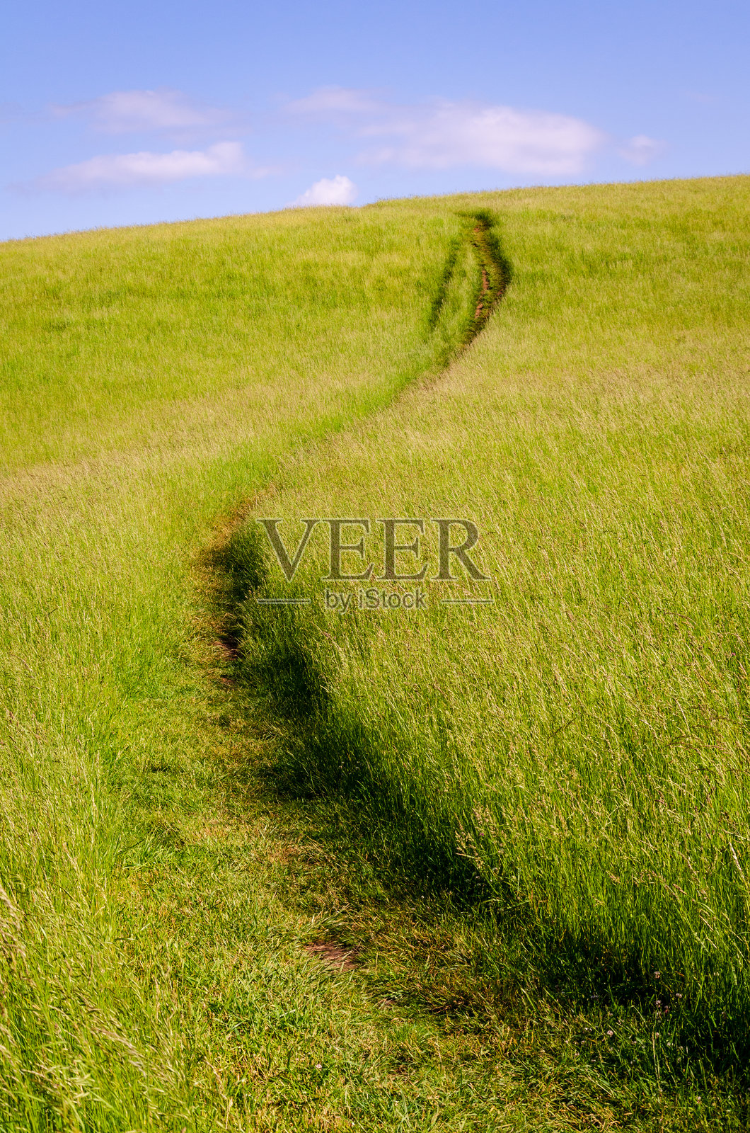 蓝岭公园大道，著名的公路连接香农多国家公园与大烟山国家公园照片摄影图片