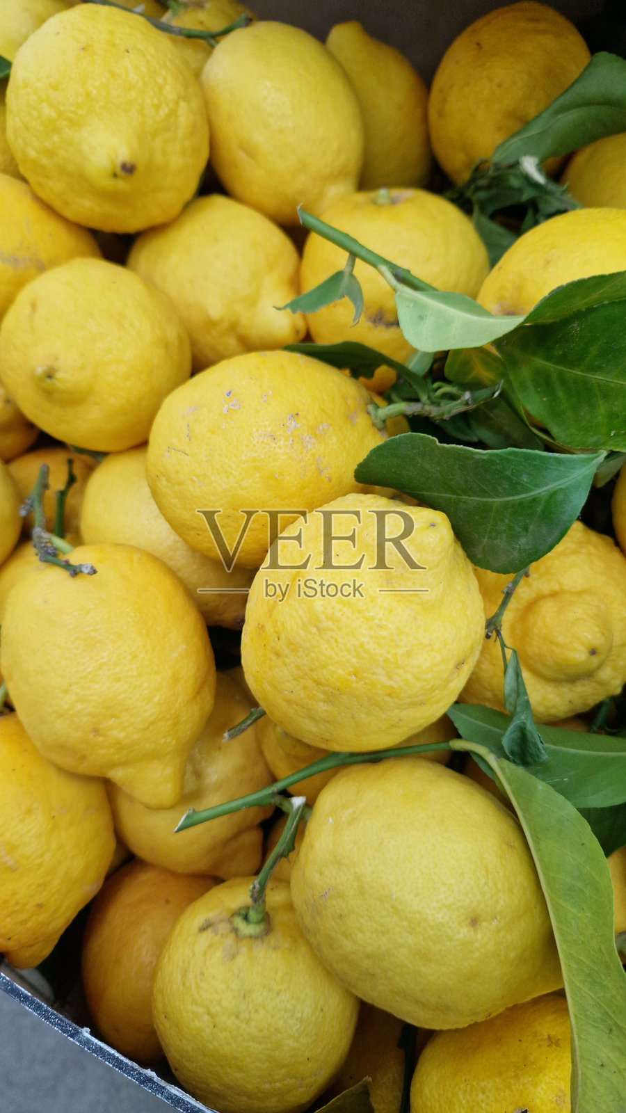 成熟、多汁、鲜艳的黄色柠檬。一堆待售的柠檬照片摄影图片