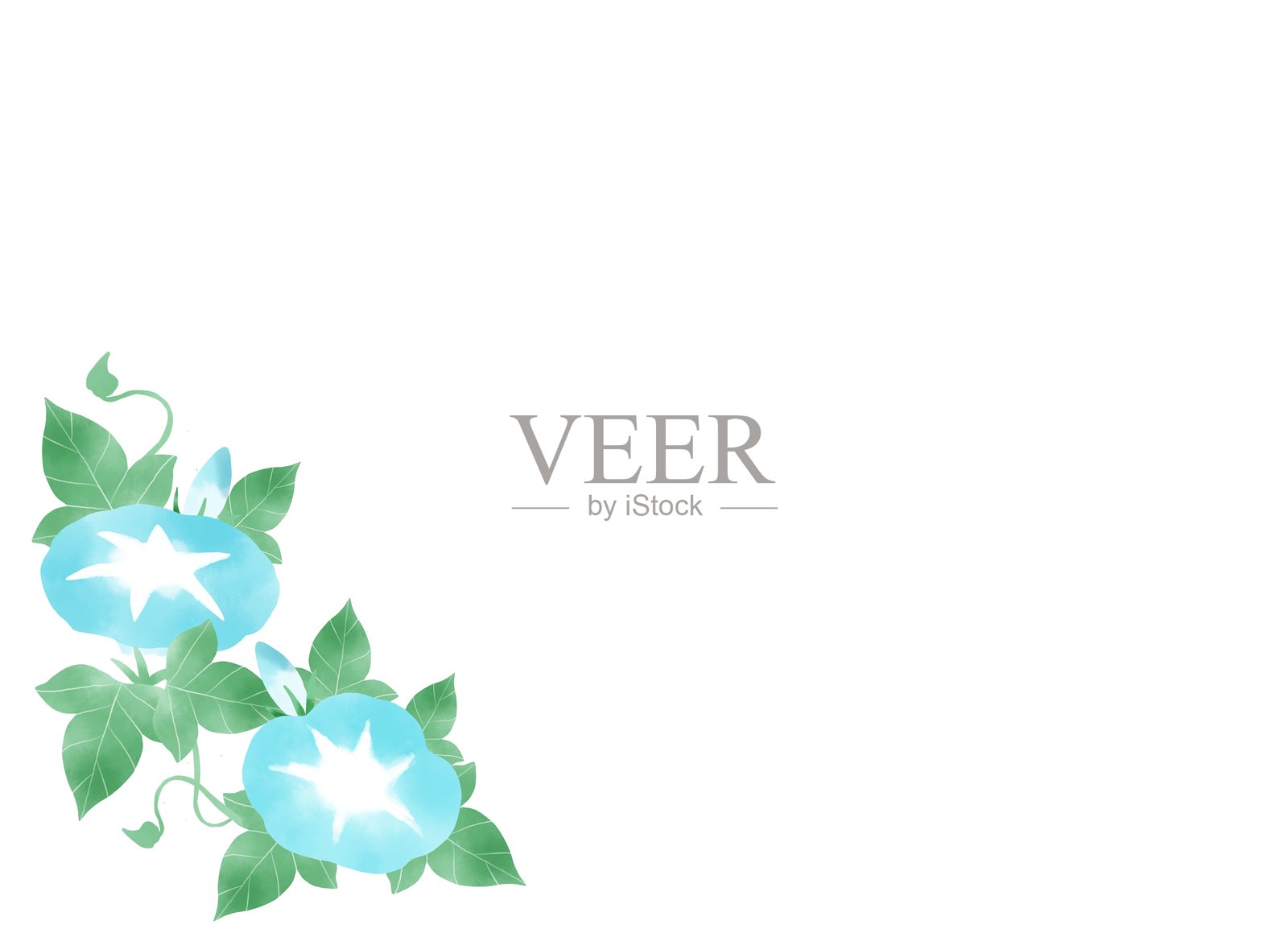 水彩风格的牵牛花背景插图插画图片素材