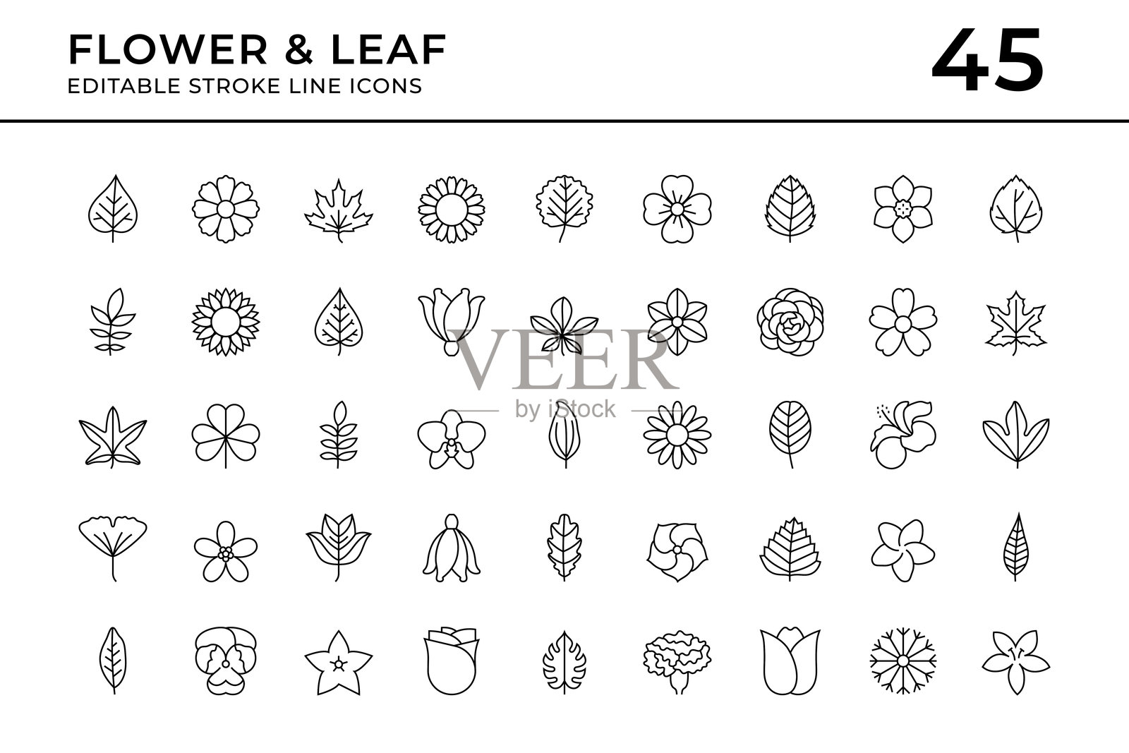 花朵和叶子可编辑线条图标插画图片素材