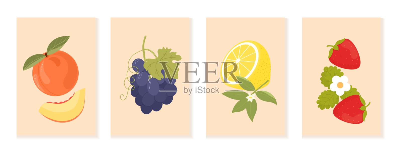 柑橘类水果海报系列。插画图片素材