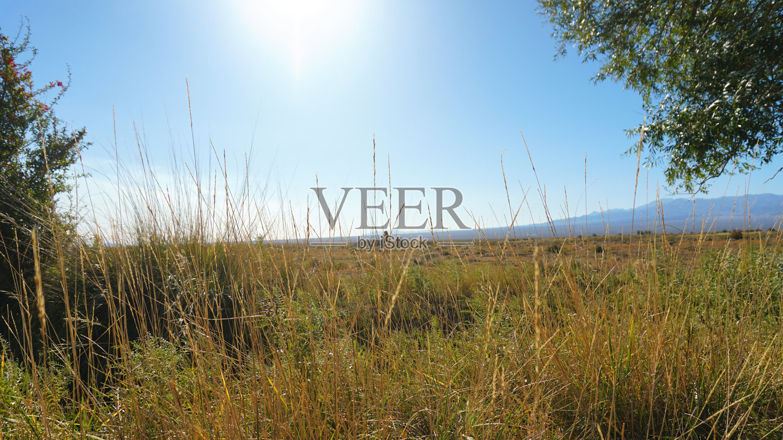 阳光照耀着一片干草地和远处的山脉照片摄影图片