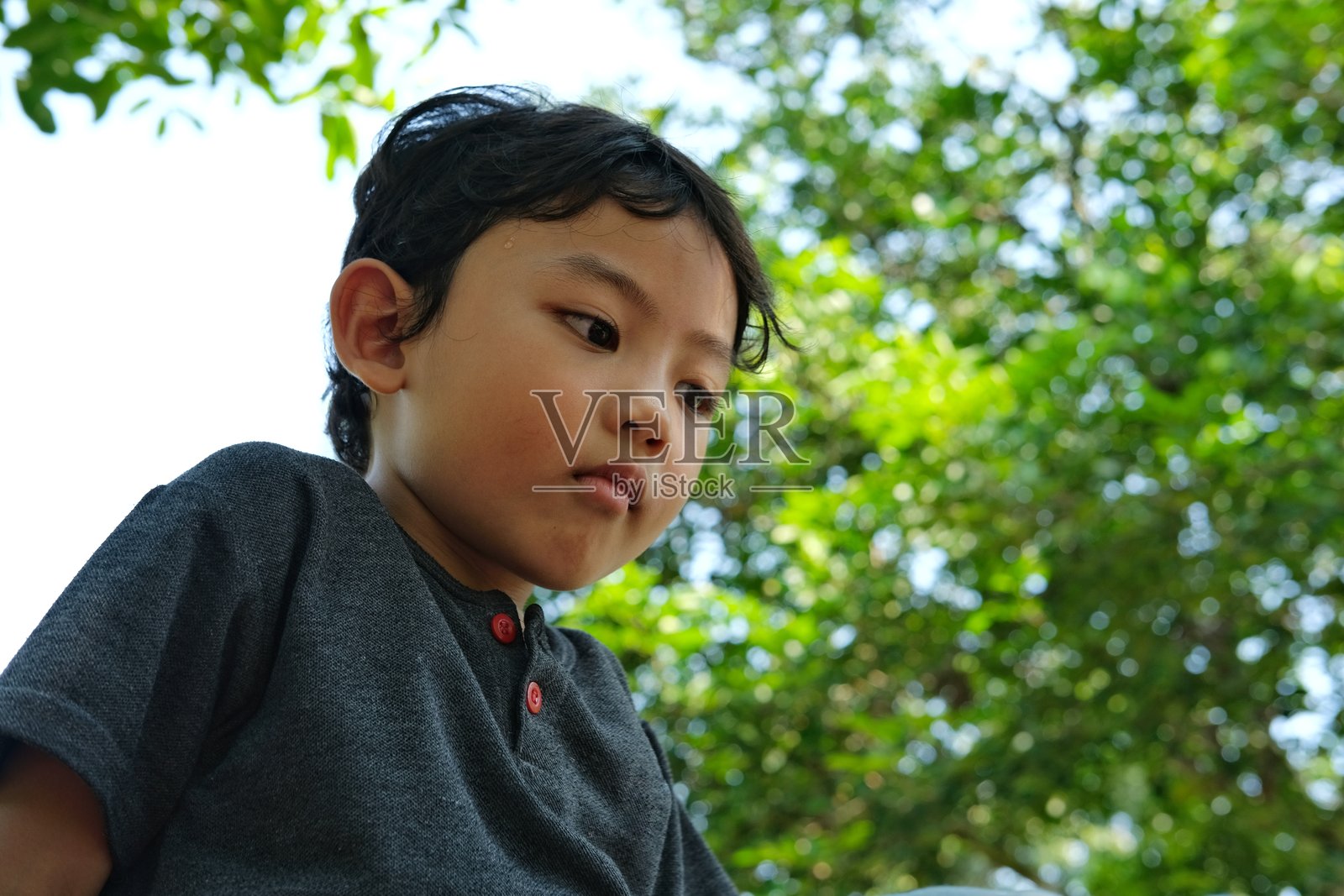 一个穿着深灰色衬衫的小男孩若有所思地低头，周围环绕着郁郁葱葱的绿叶。照片摄影图片