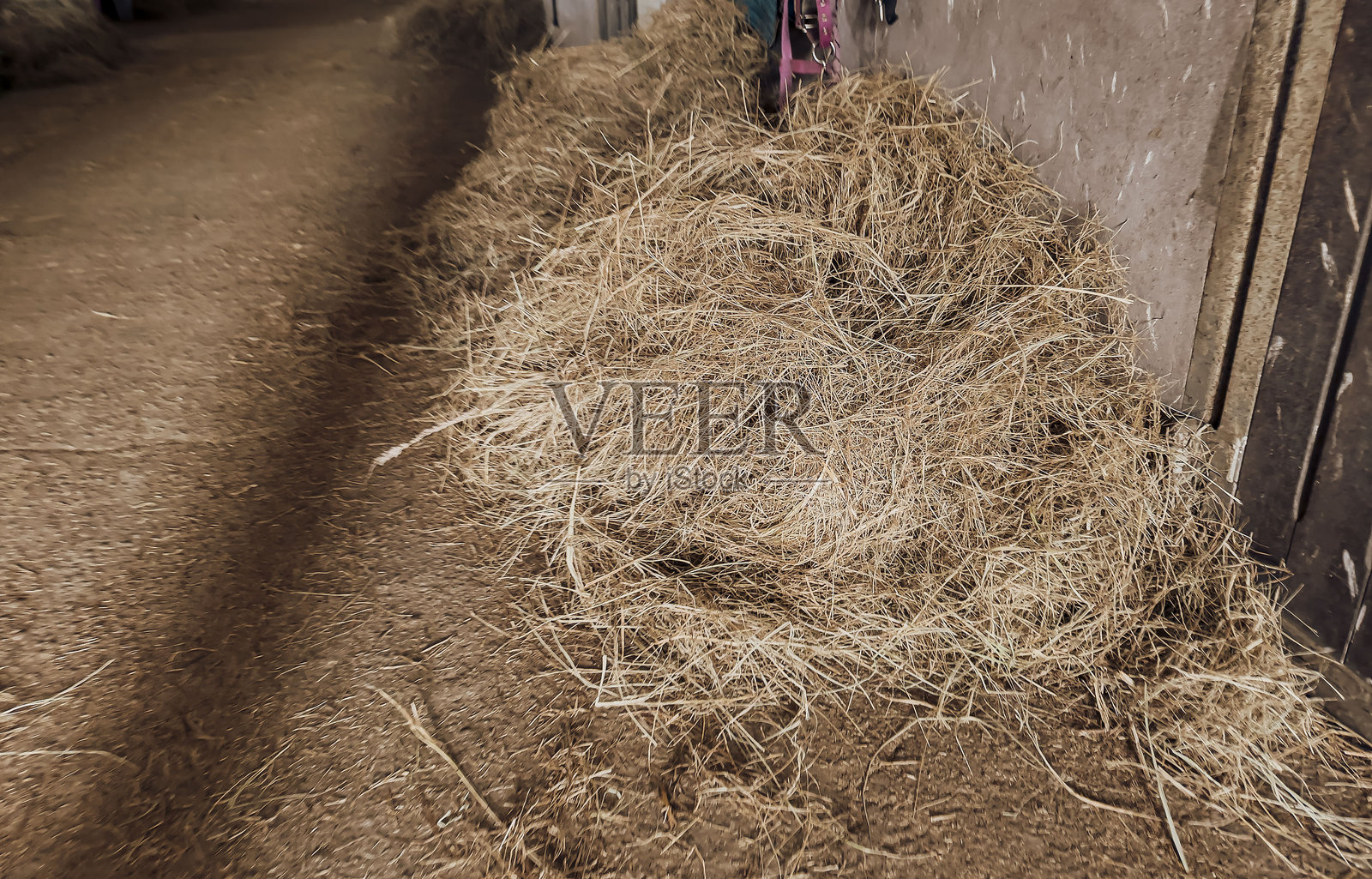 干草捆特写，适用于动物饲料和乡村农场生活，伴有马匹和牲畜照片摄影图片