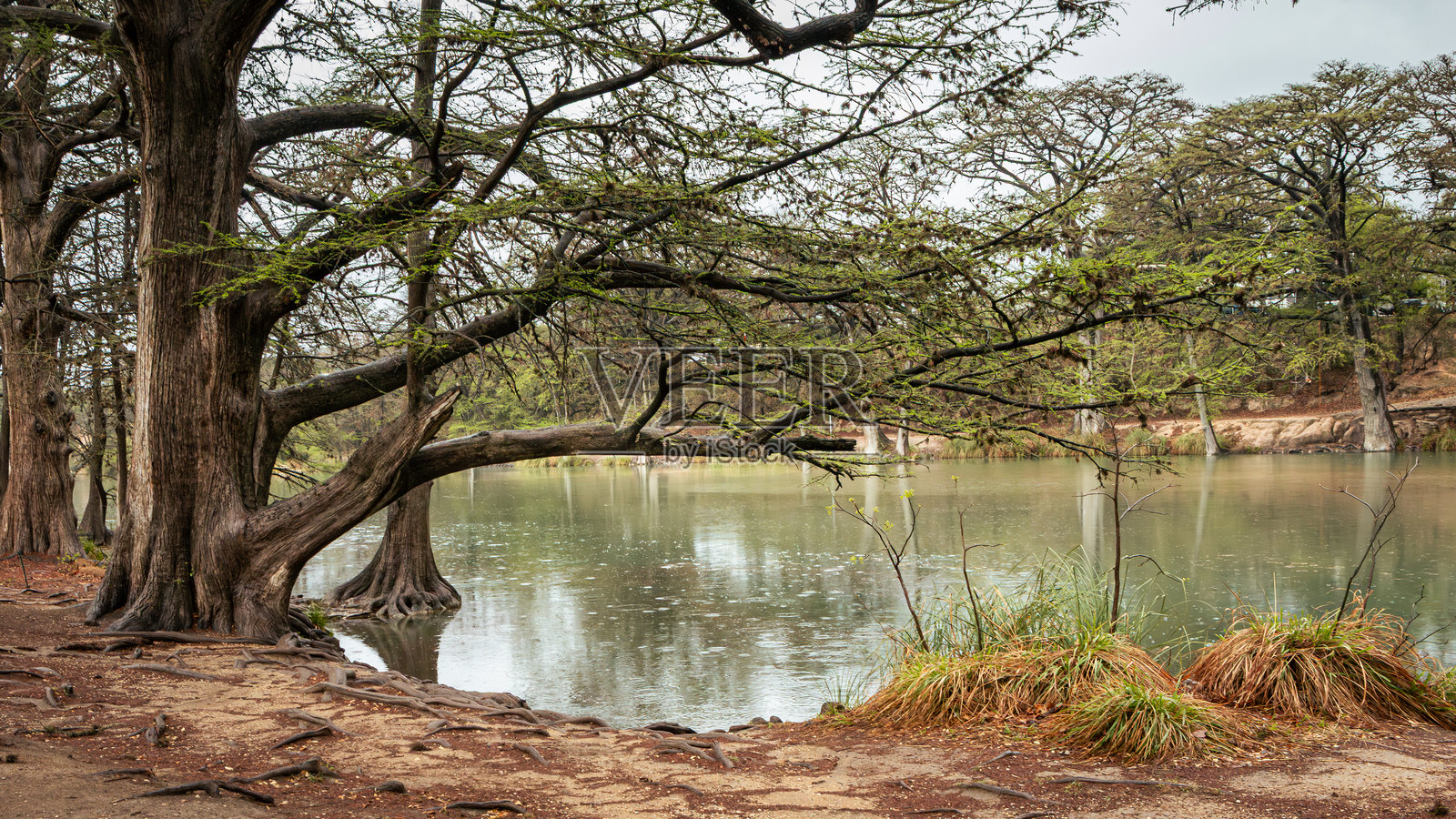 弗里奥河的倒影 - 加纳州立公园，德克萨斯州照片摄影图片