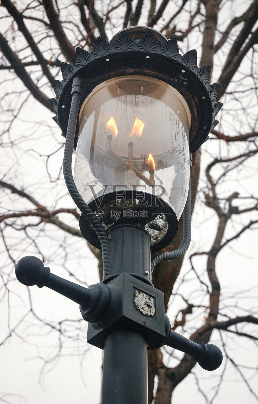 俄亥俄州坎顿的第一夫人国家历史遗址照片摄影图片