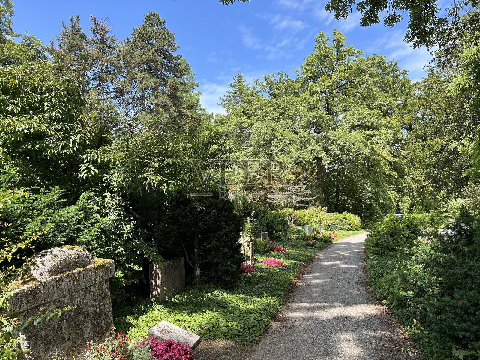 诺德海姆公墓或诺德海姆墓地 - 苏黎世，瑞士照片摄影图片