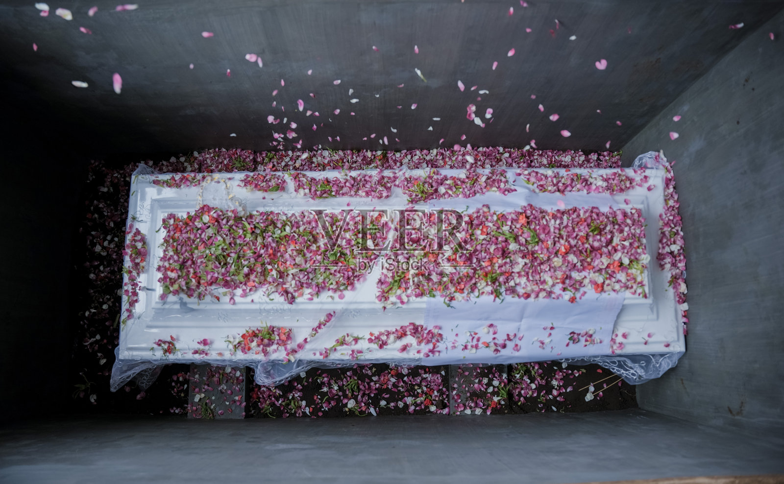 在葬礼服务后，在墓地挖好的坟墓上洒花。照片摄影图片