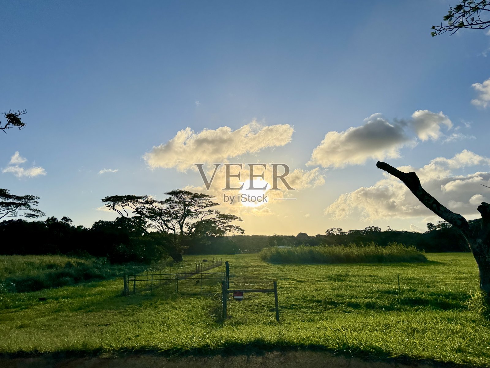 科洛亚农田照片摄影图片