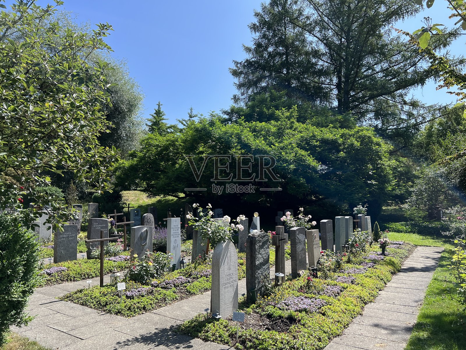 霍恩格贝格公墓（Hönggerberg Cemetery），瑞士苏黎世（Zürich）照片摄影图片