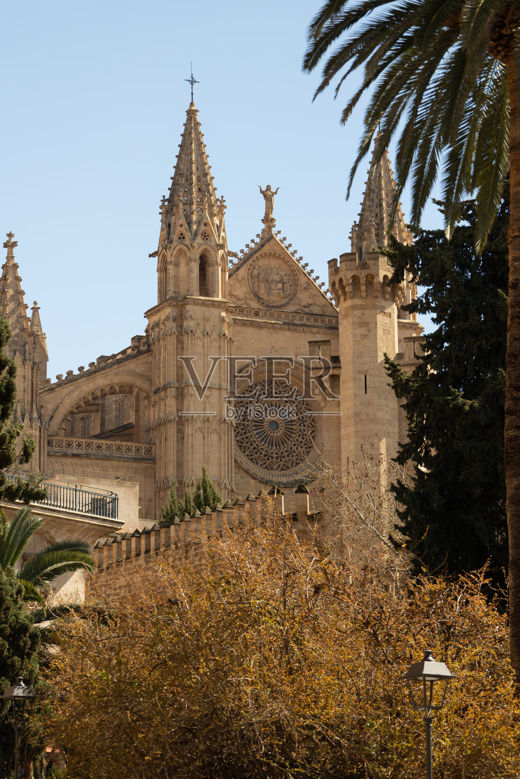 阳光明媚的帕尔马大教堂照片摄影图片