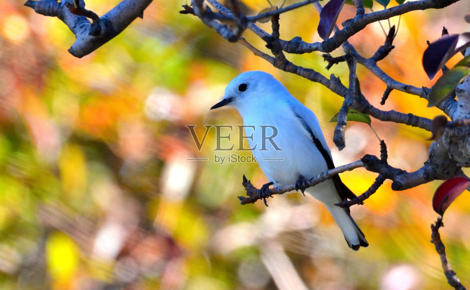 现在照片摄影图片