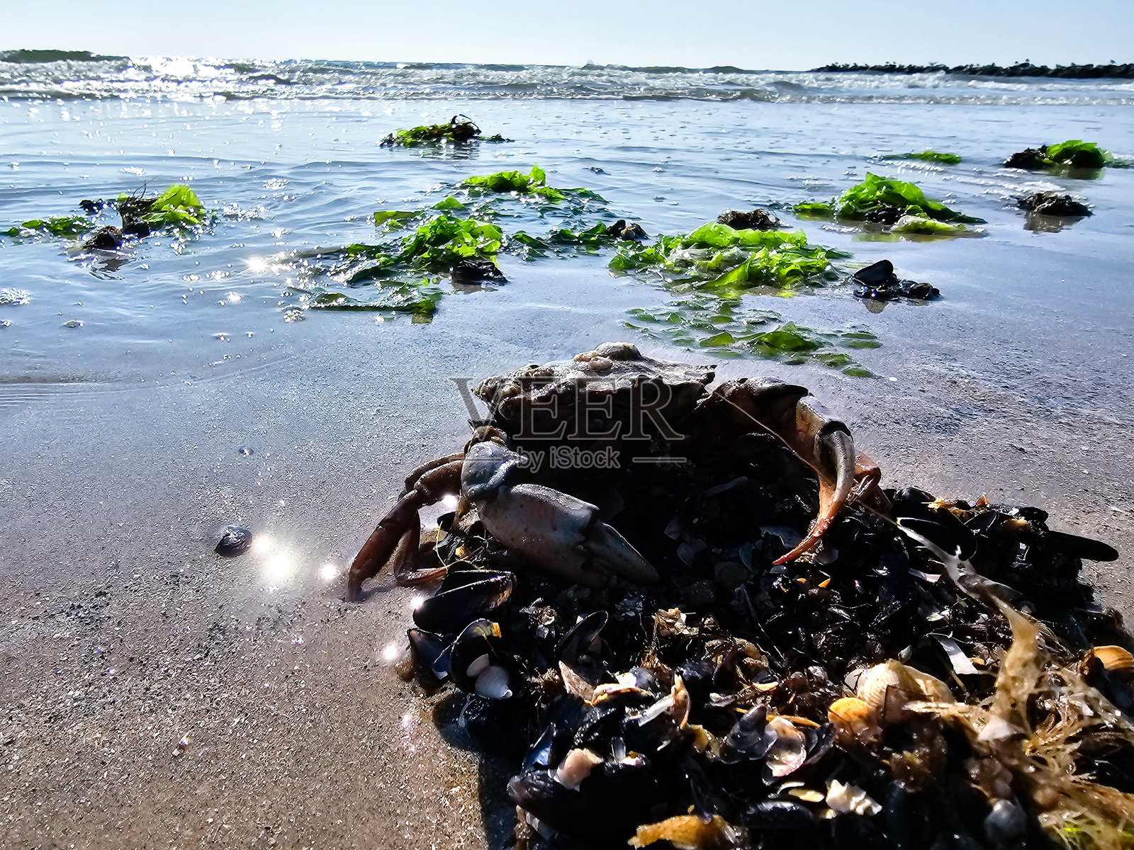 朱特兰照片摄影图片