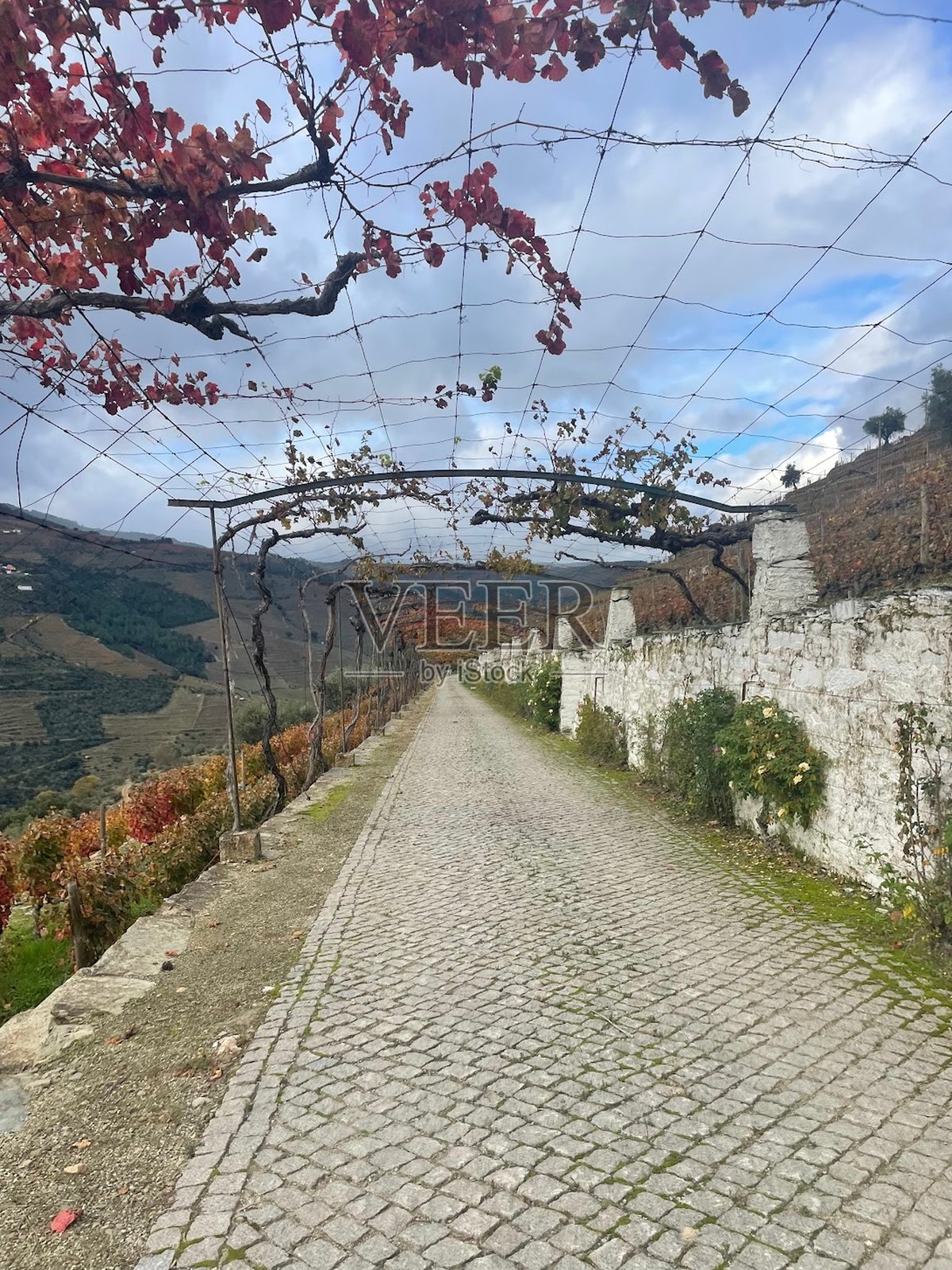 小径照片摄影图片