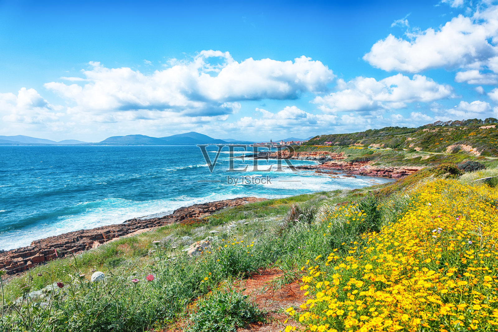 令人惊叹的阿尔盖罗镇春季城市风光，清晨时分。照片摄影图片