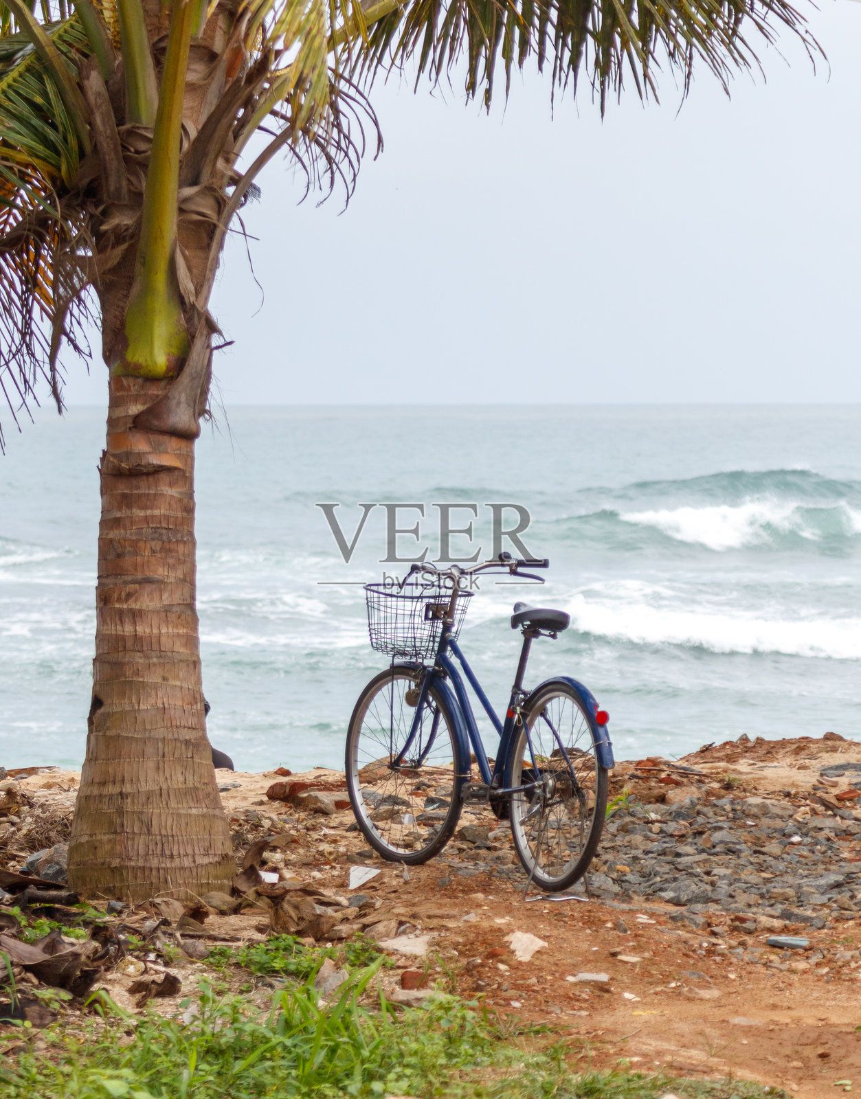 一辆蓝色自行车停在海滩上的棕榈树旁。照片摄影图片