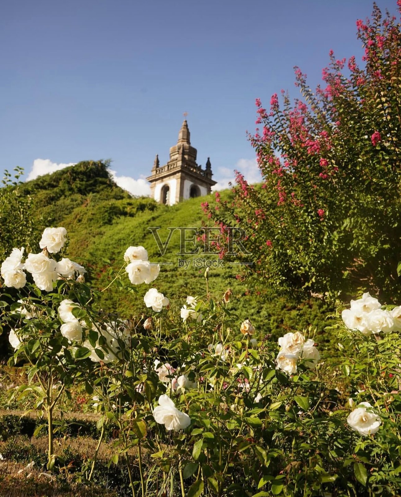 花朵与塔楼照片摄影图片