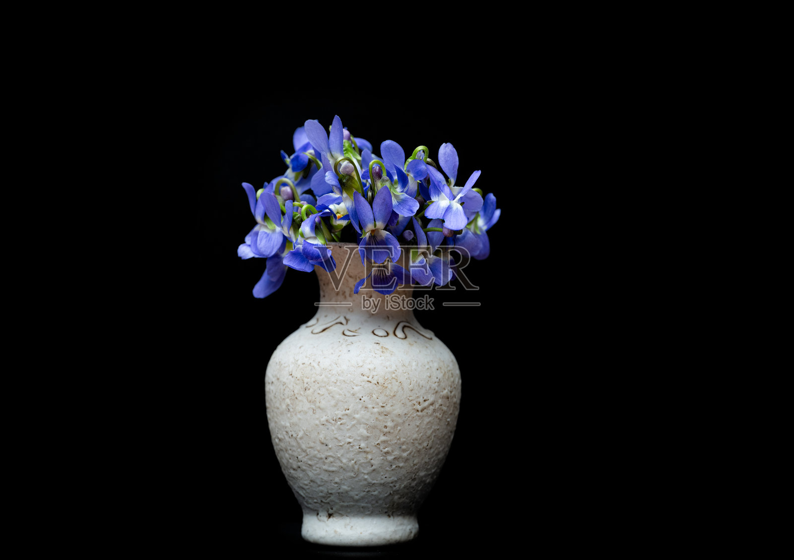 一束紫罗兰花照片摄影图片