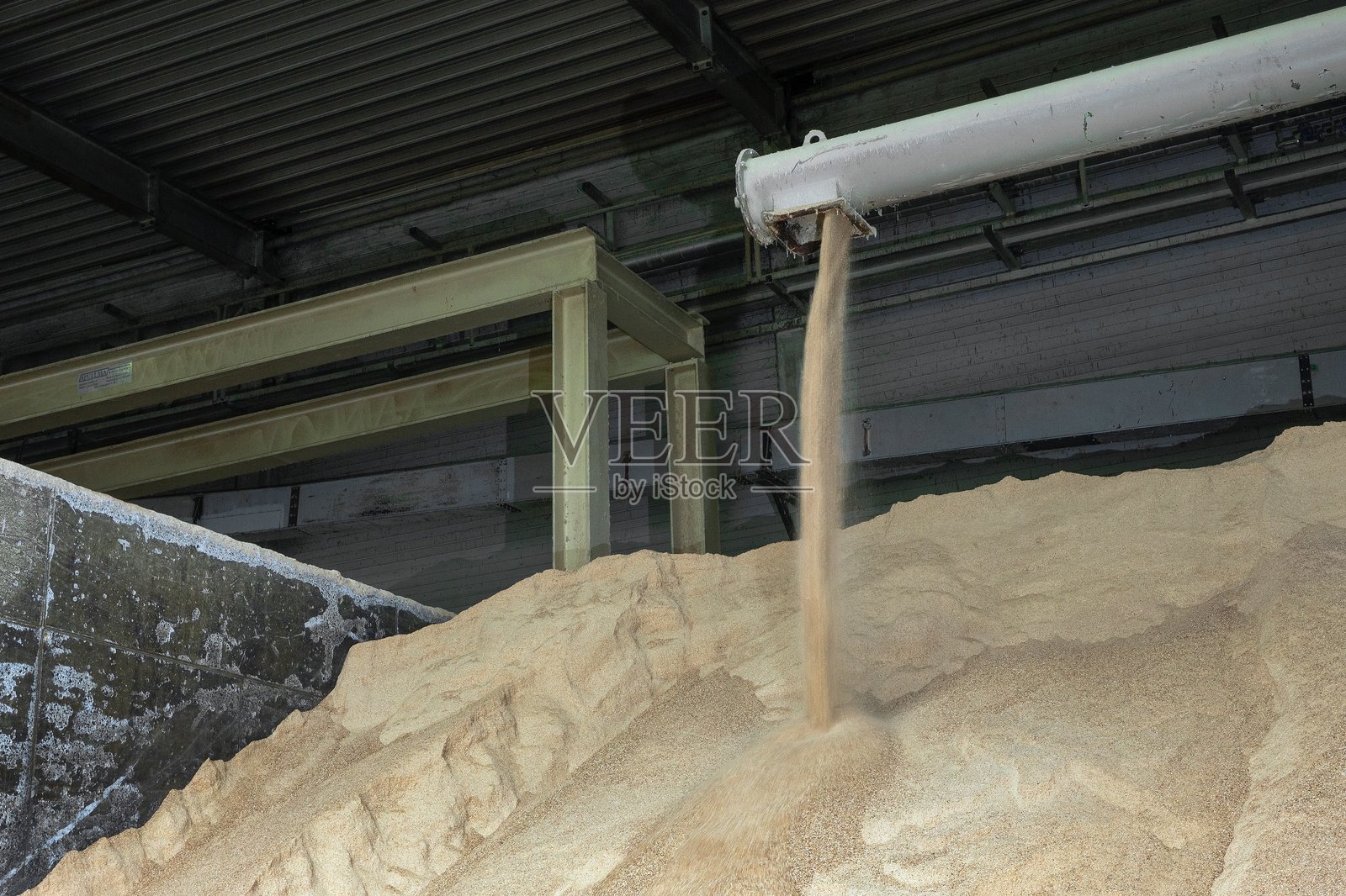 废弃食品行业的回收。将废弃食品回收为牛饲料。照片摄影图片