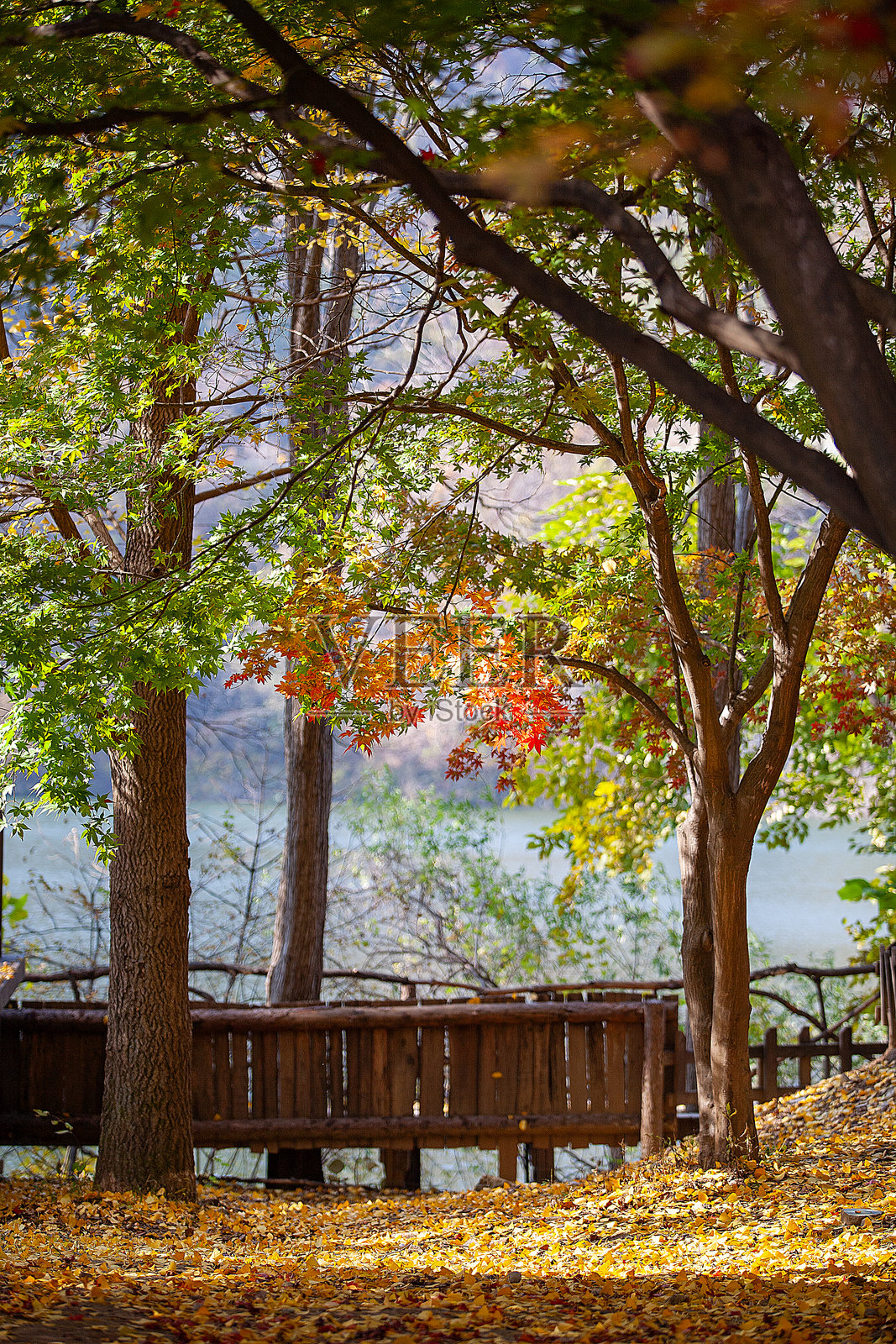 秋天的风景照片摄影图片
