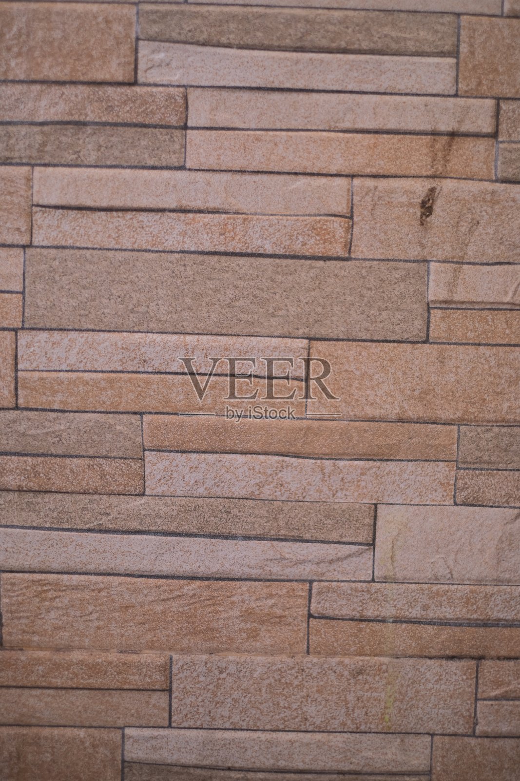 今天的周围照片照片摄影图片