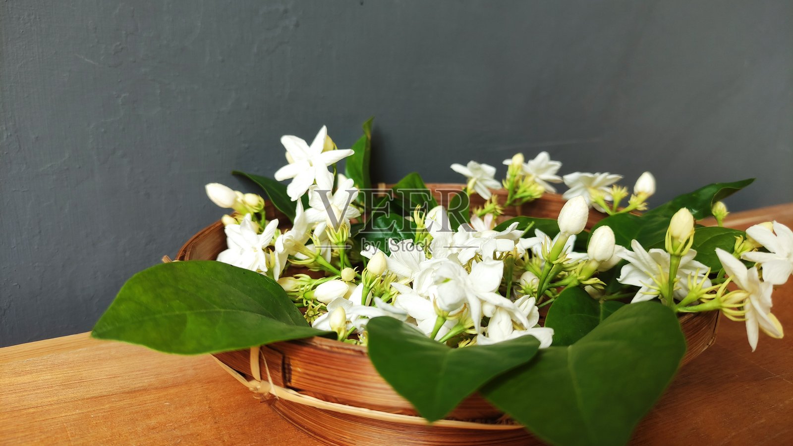 桌子上的白色茉莉花特写，散发着独特的宁静香气照片摄影图片
