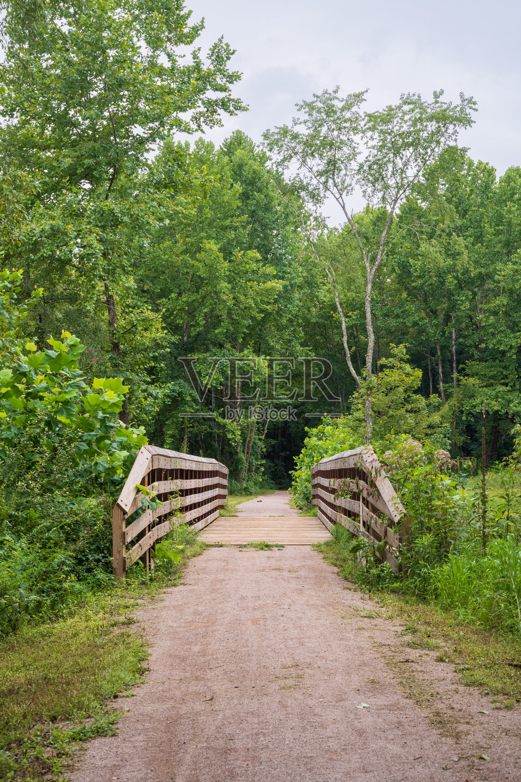 俄亥俄州东南部的月城铁路小径照片摄影图片
