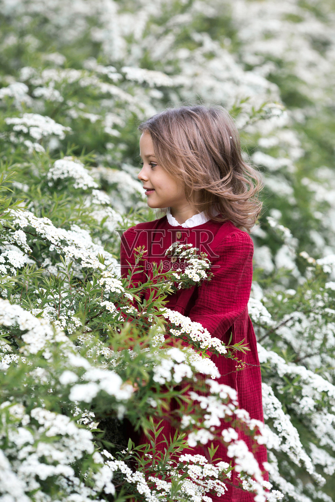 春天的绽放。一个穿着红色裙子的美丽5岁女孩在自然中的花园里。童年。照片摄影图片